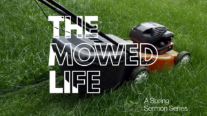 The Mowed Life Part 7: Water